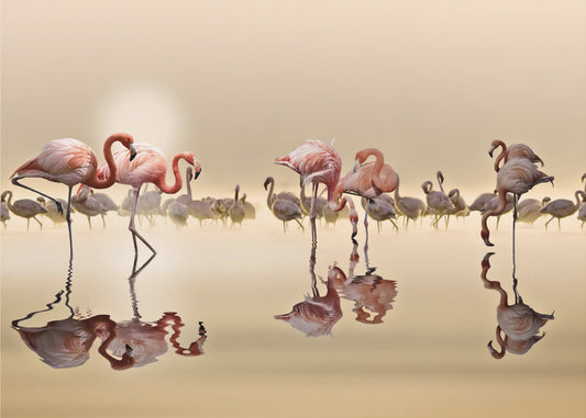 FLAMINGO'S | Canvas