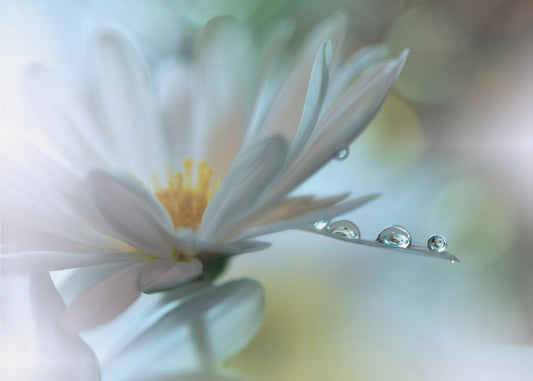 Lichte aanraking... | Canvas
