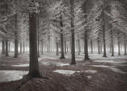 Het begin van de winter | Behang
