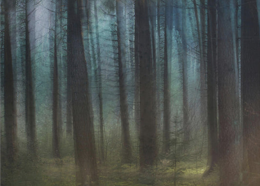 Blauw licht | Poster