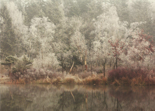 Bevroren | Achtergrond