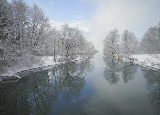 Winter | Canvas