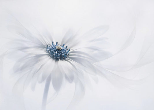 Sereniteit | Canvas