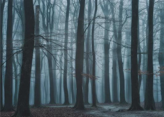Wij allemaal | Behang