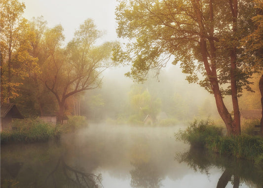 Mistige herfst | Canvas