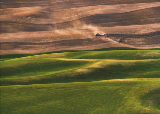 Boerenland | Canvas
