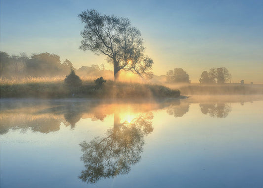 Ochtendreflectie | Poster