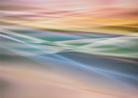 Untitled | Canvas