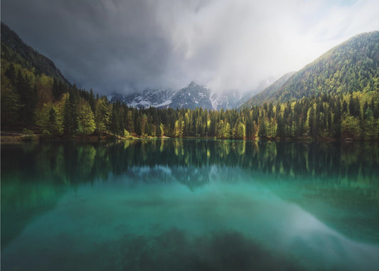 Menta. | Behang