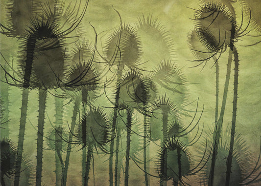 Wilde Kaardebol | Canvas