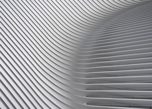 Calatrava Curves #2 | Canvas