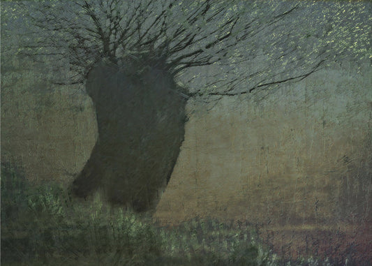 Wilg aan het water | Poster
