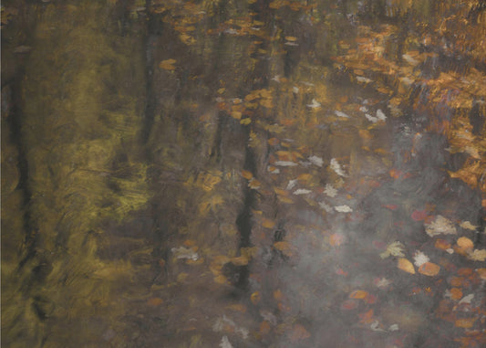 Autumn impression | Canvas
