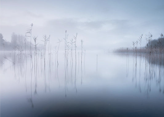 Zonder titel | Canvas