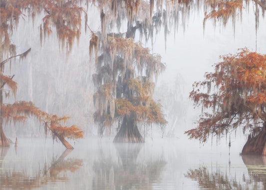 Mysty Bayou | Achtergrond