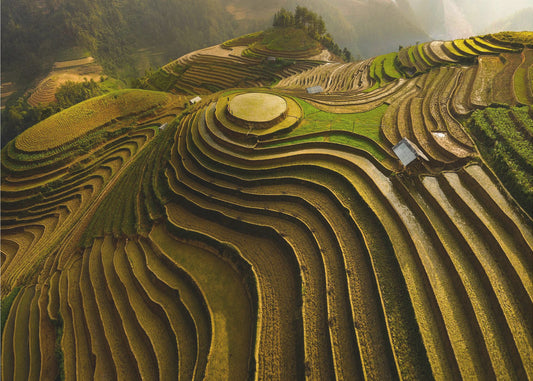 mu cang chai - Vietnam | Behang