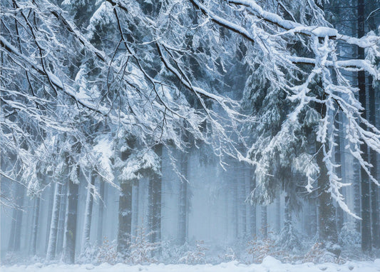 Sneeuwwereld | Canvas