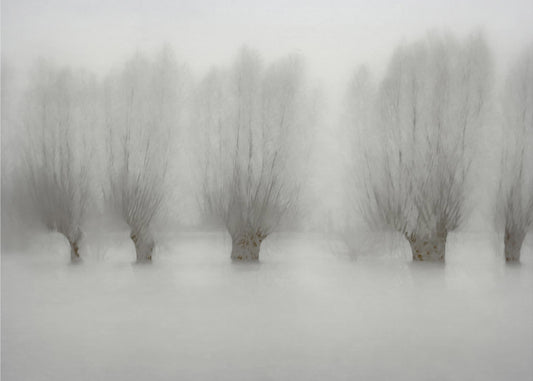 Hoog water | Canvas
