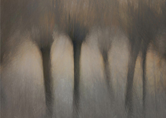 Knotwilgen | Canvas