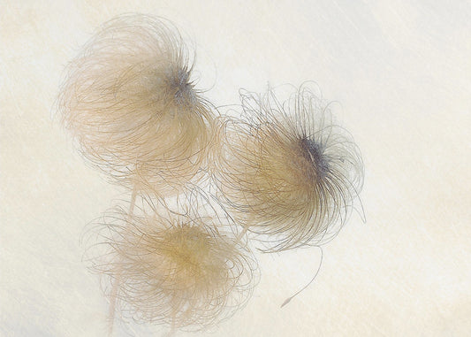 In de wind | Canvas
