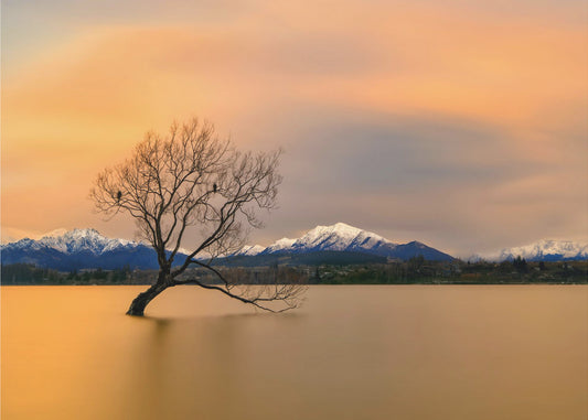 Ochtendgloed van Lake Wanaka | Canvas