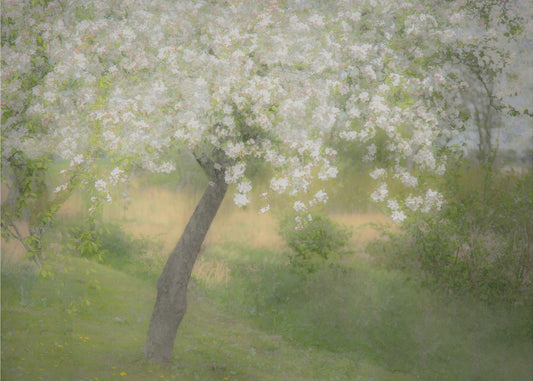 In de tuin | Canvas