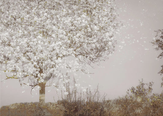 Fruitboom | Canvas