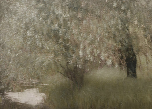Aan de rivieroever | Canvas