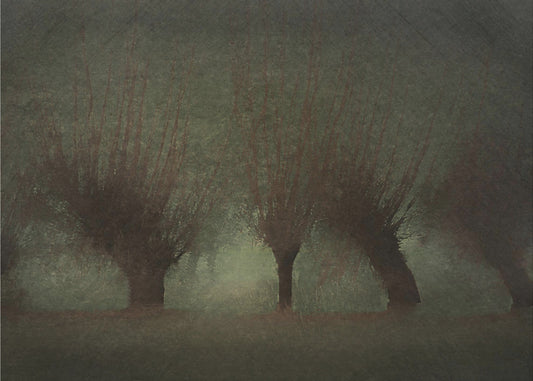 Rivierlandschap | Canvas
