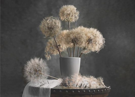 Paardenbloemzaadpeul | Behang