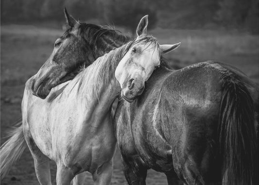 Warme regen | Canvas