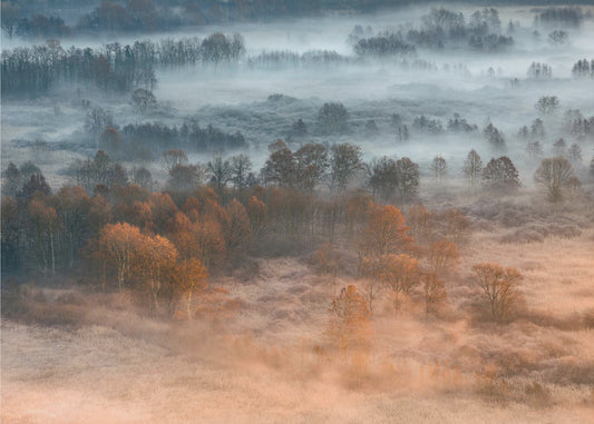 Mistige herfstdageraad | Canvas