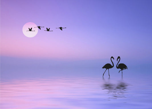 Vliegende flamingo | Behang