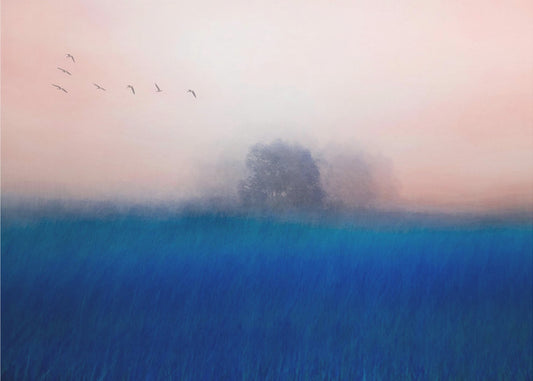 De boom op het blauw | Canvas