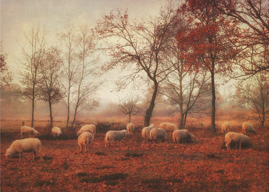 Laatste dagen van de herfst | Canvas