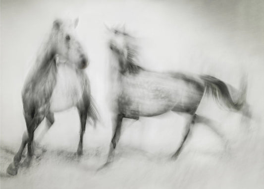 Rillingen | Canvas