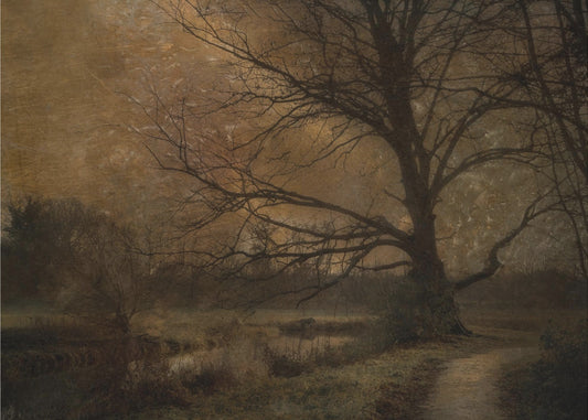 Oude boom | Canvas