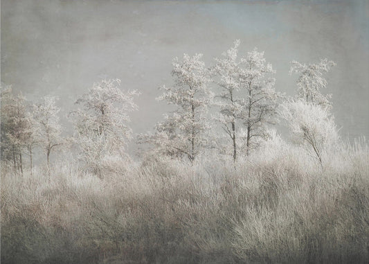 Koude ochtend | Canvas
