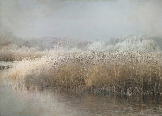 Wintermorgen | Canvas