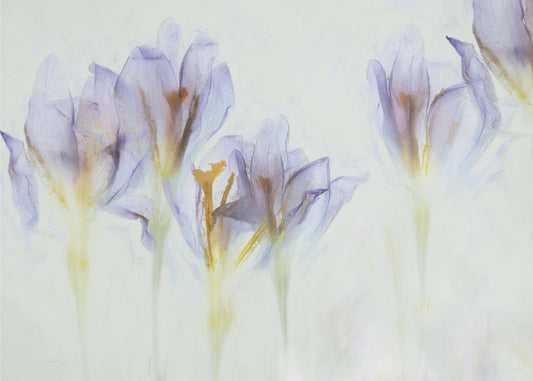 Spring | Canvas