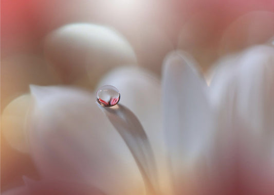 Enigma.. | Achtergrond