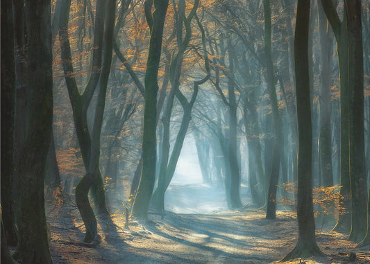 Koud licht | Behang