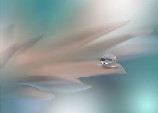 Witte Symfonie.. | Canvas