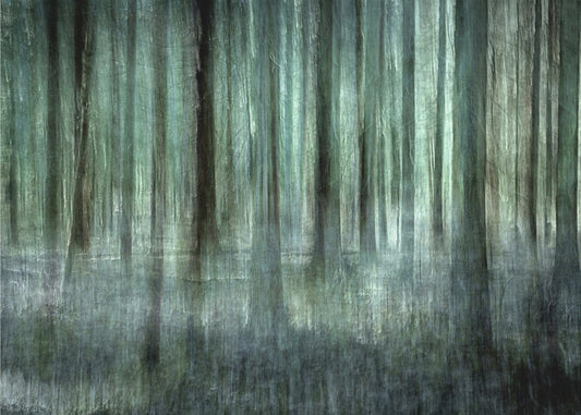 Forest light | Poster