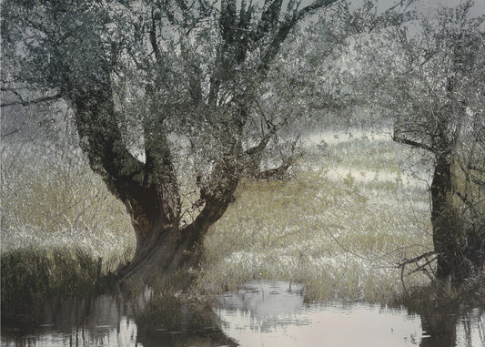 Aan de waterkant | Canvas