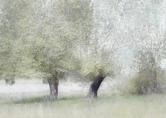 Jong groen | Canvas