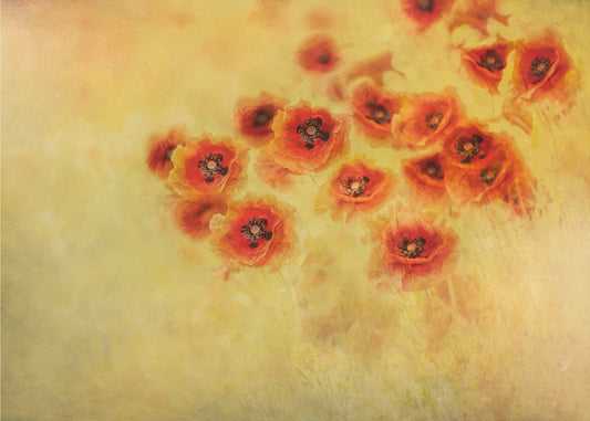 Zomergevoel | Canvas