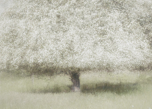 In de achtertuin | Canvas