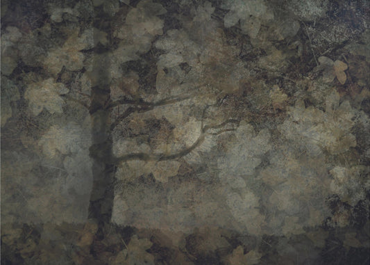 Dark forest | Poster