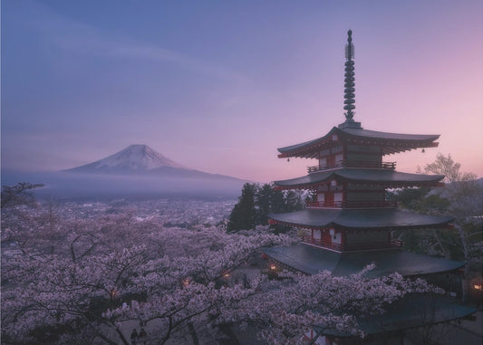 Berg Fuji Sakura | Achtergrond
